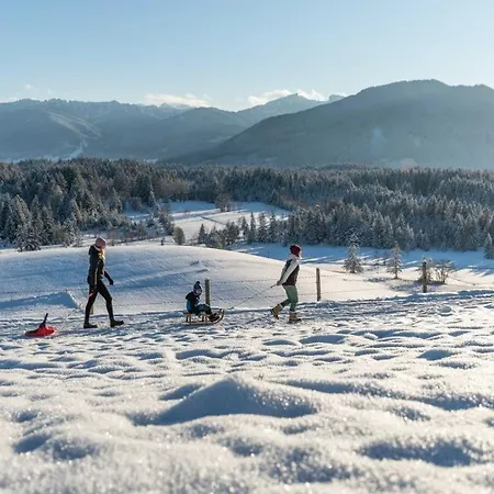 Haus Sternenhimmel Apartment